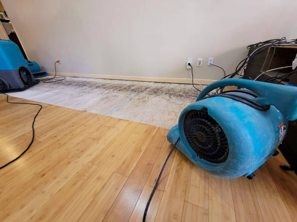 Professional Sewage Cleanup technician working in Spring Lake, NJ